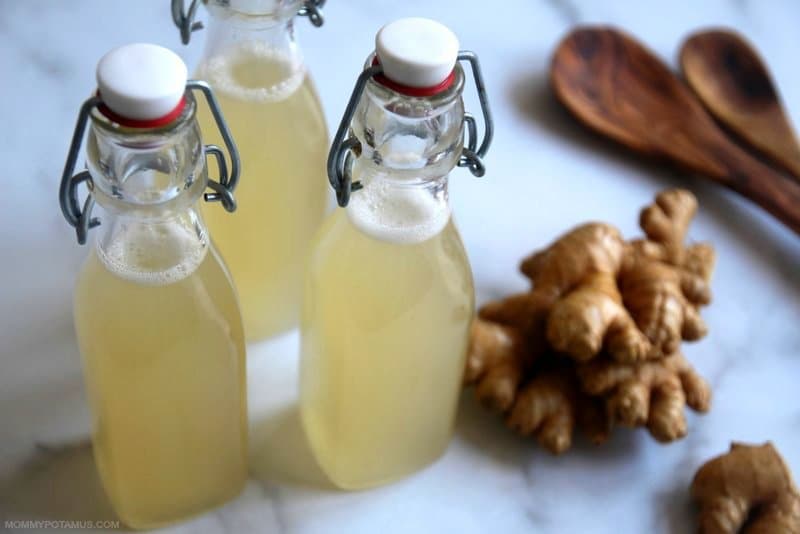 How is Ginger Ales Made